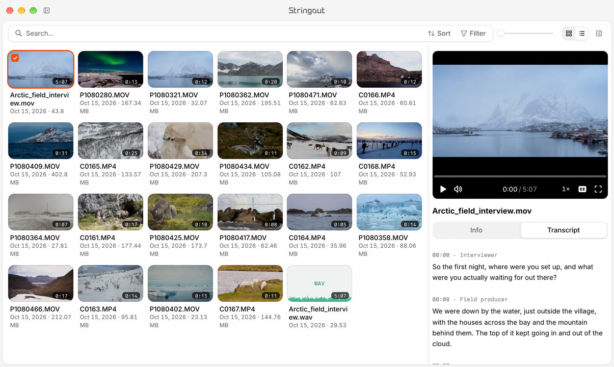 Stringout library with northern-lights, mountain and fjord footage, alongside a field-interview recording and a long speaker-labelled transcript.